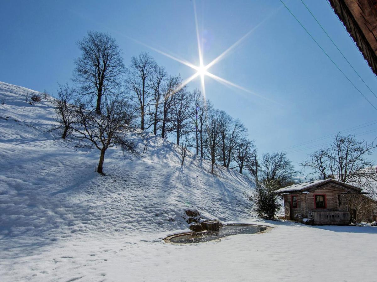 Apartment In Hopfgarten Brixental Near Ski Lift Hopfgarten im Brixental Exteriér fotografie